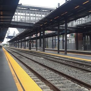 Meet your Posher, Ella